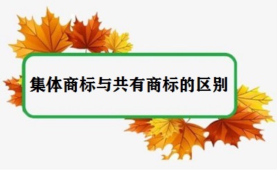 集體商標(biāo)與共有商標(biāo)的區(qū)別